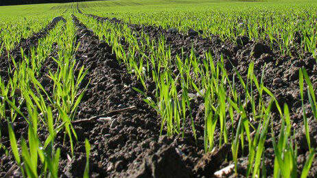 Die sichere Lösung für den Herbst