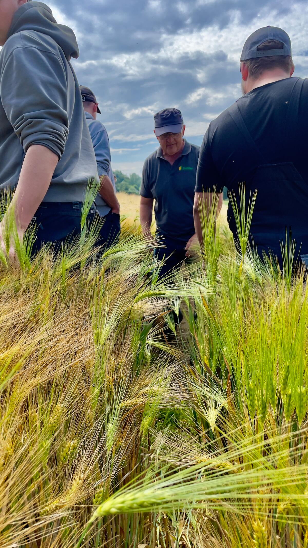 Weiter ging es auf das Gerstenfeld und den Informationen zu den Biostimulatoren im Getreidebau.