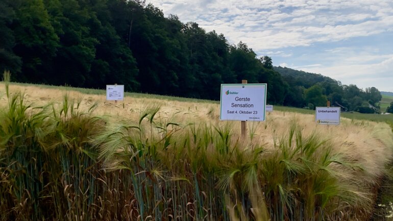 stähler_tag_bachs_st