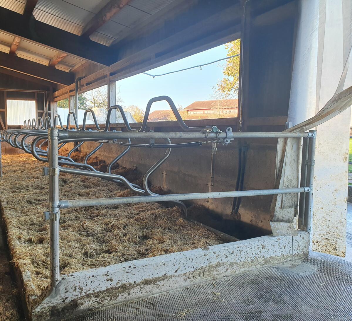 Sommer, Sonne, Hitzestress