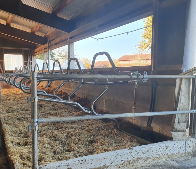 Stall_20221027_092504_1_