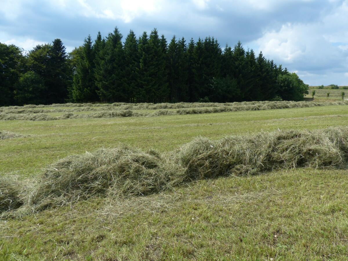Bénévoles pour les paysans de montagne