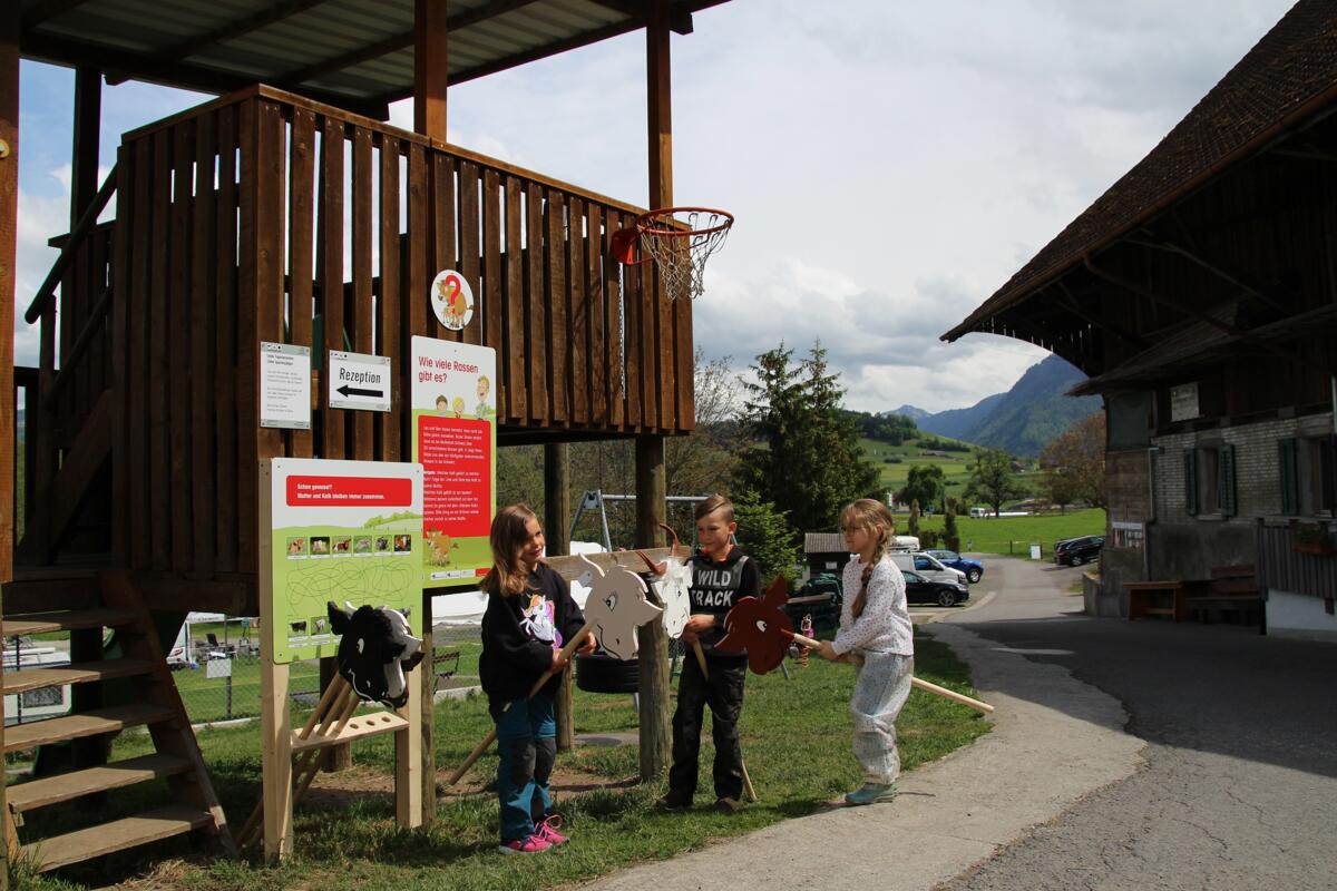 Zehn Posten erklären spielerisch die Mutterkuhhaltung.