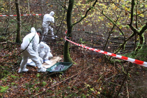 Stein am Rhein Schweinepest Vorbereitung Kadaverbergung