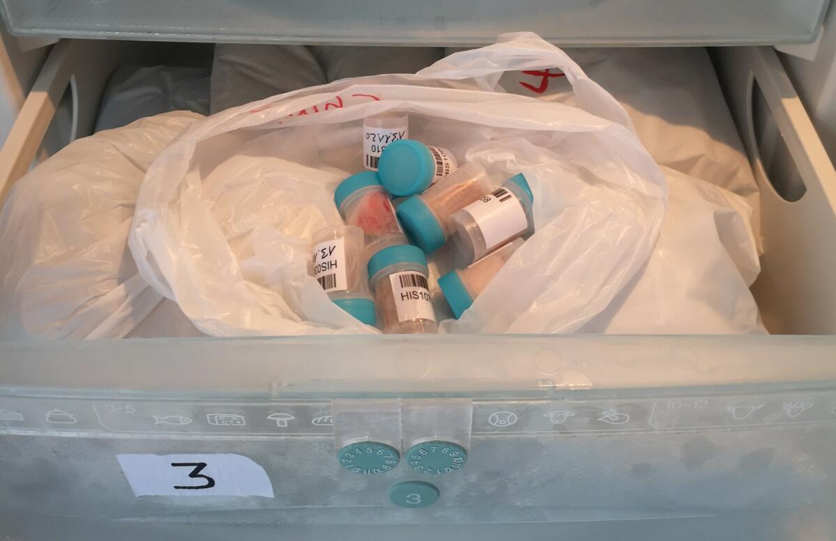 Die Probensammlung für das Teilprojekt "Genomik" ist bereits abgeschlossen.