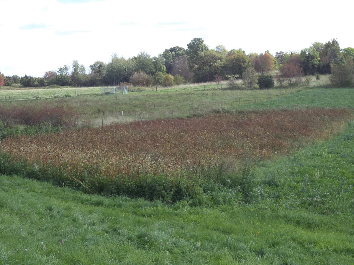 Aufbruchstimmung im Osten - eine spannende UFA-Revue-Leserreise ins Baltikum