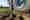 alt_text