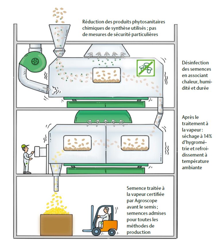 thermosem2024_baumann_stalder_f
