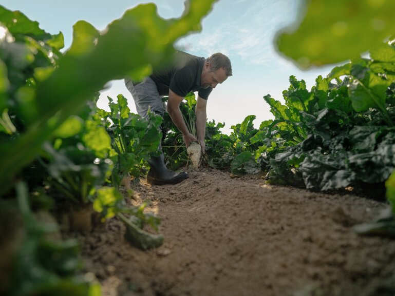 Titelbild-Advertorial-neu