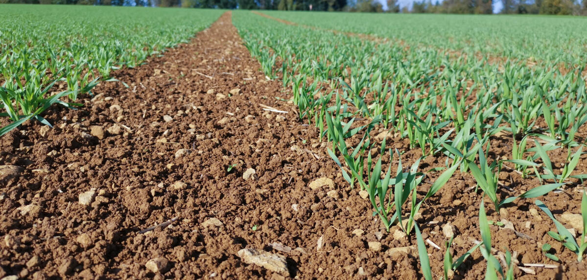 Des prairies mises à l’épreuve