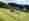 TOP_VT_12540_C_MasseyFerguson_Drohne_44_