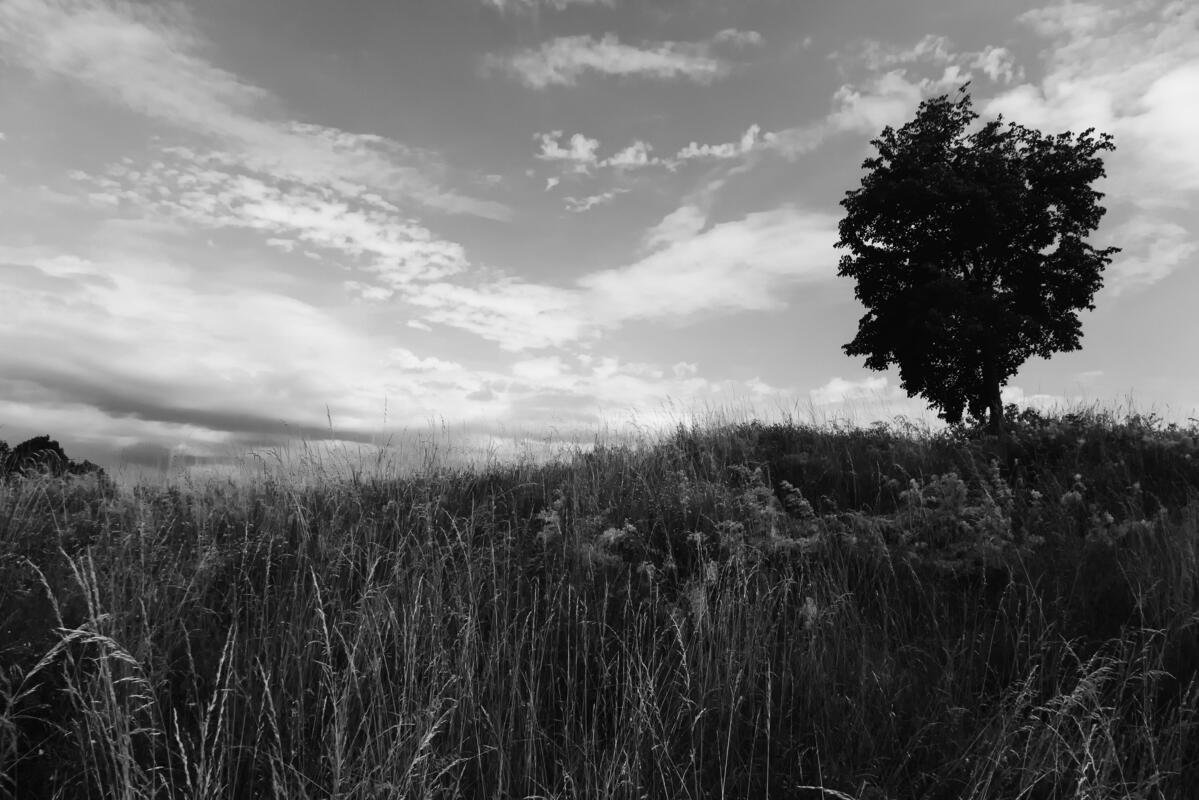 Des stratégies pour mieux gérer la pression