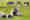 alt_text
