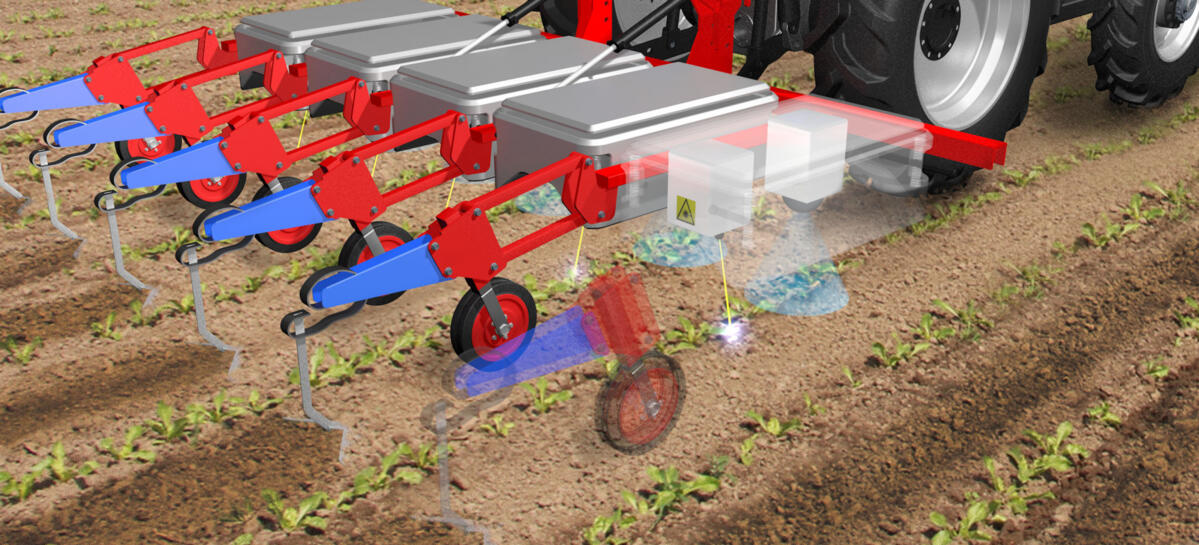 Mit dem Laser gegen Unkraut in Zuckerrüben