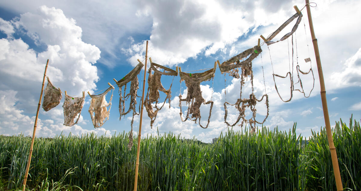 Unterhosen auf dem Weg ins Labor