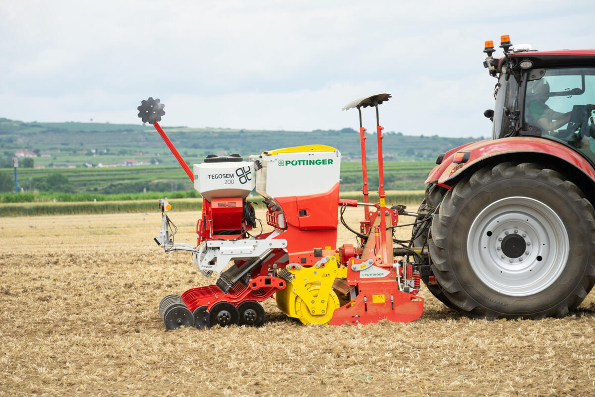 Starre Lion Kreiseleggen erhalten Facelift