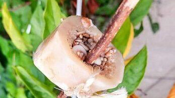 vogelfutterspender_edited