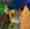 alt_text