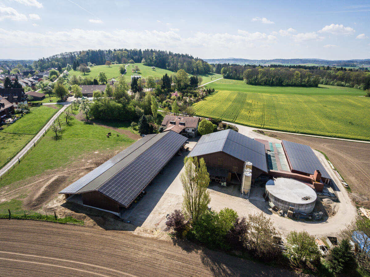 Mehr grössere Betriebe