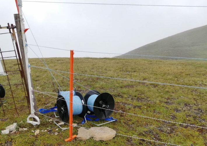 Aides financières pour la protection des troupeaux