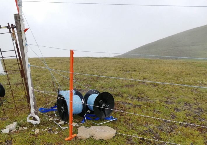 Vorbildlich-erstellter-Herdenschutzzaun-1-710x500