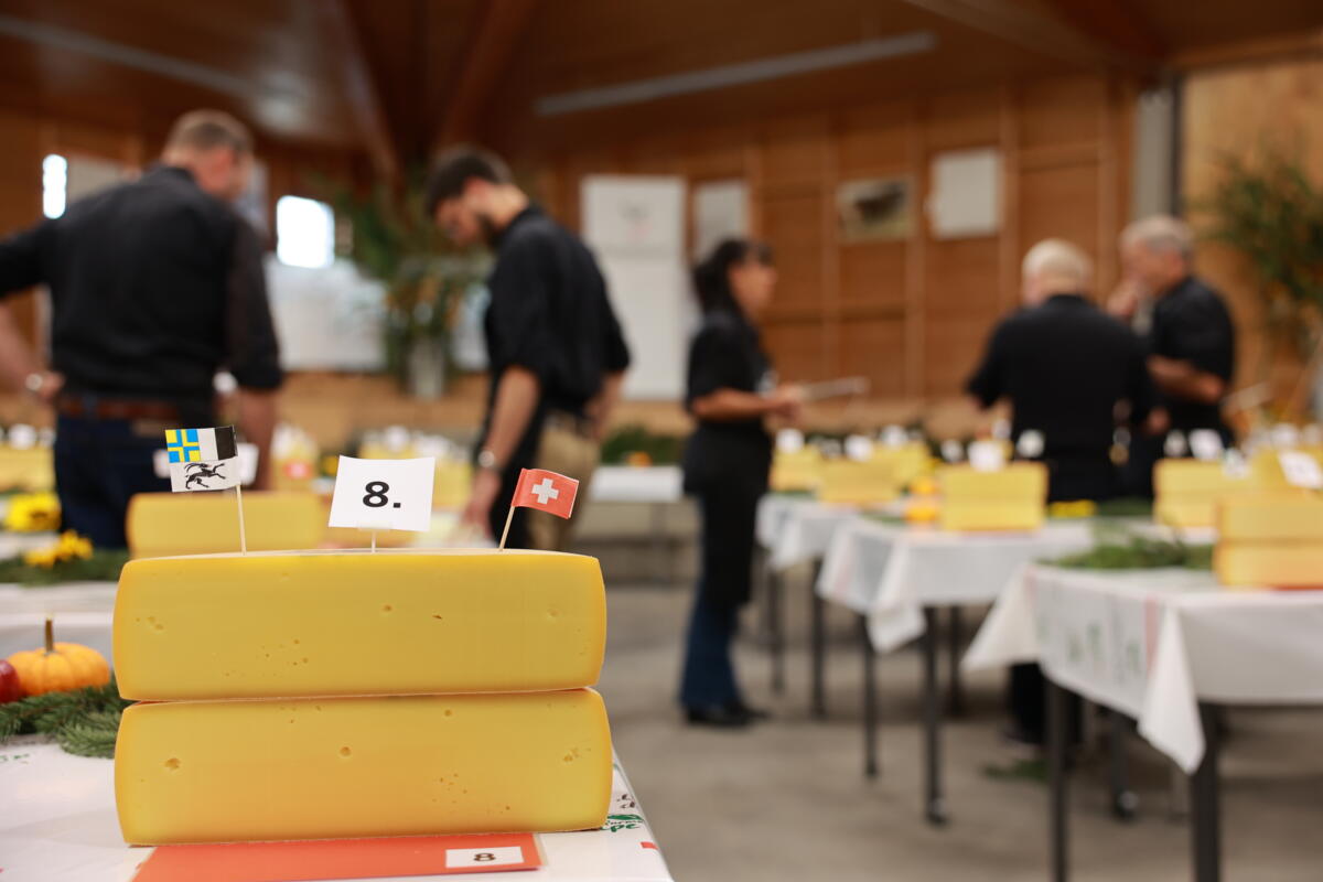 Vorzügliche Qualität der Bündner Alpkäse.