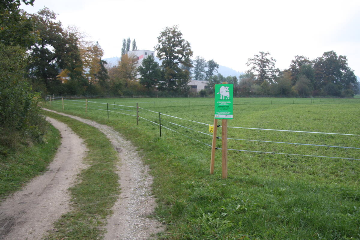 Reagieren, bevor etwas passiert 