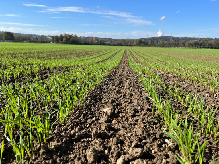 Weite Reihe_D_LZ Liebegg