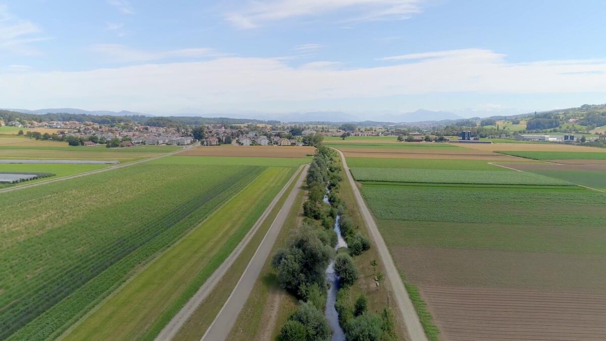 Stratégie pour la protection des plantes – progresser ensemble», vidéo Grandes cultures.