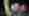 wppi-image-polizei-news2025_01_21_Ormalingen_VU_Traktor_toedlich_1-994x550_kapo BL