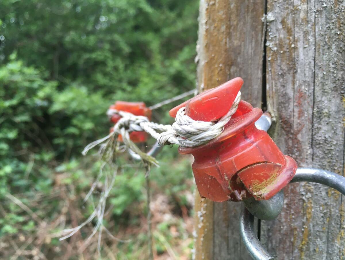 Si la clôture du pâturage des chèvres est décrépie depuis des années, c'est le signe que cette branche de l'exploitation est à bout de souffle. Pour l'a...