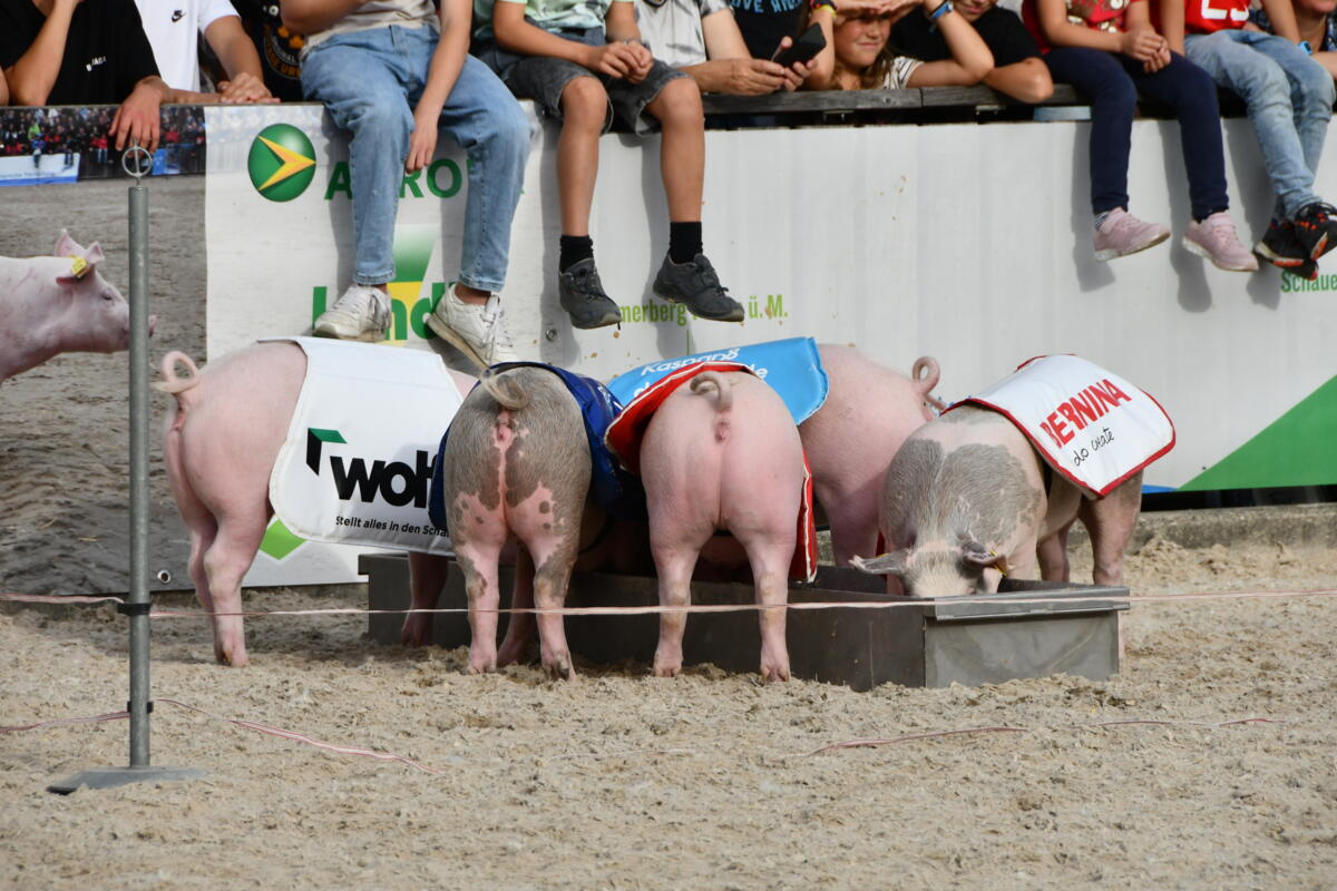 Nach dem Säuli-Rennen wartet auf die Sprinter eine verdientes Fressen