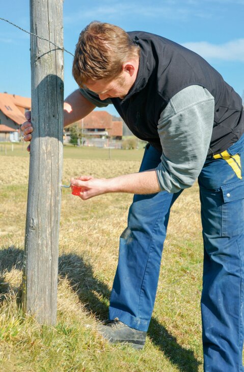 Im Frühling kontrolliert und repariert Markus Stähli seine Zäune.
