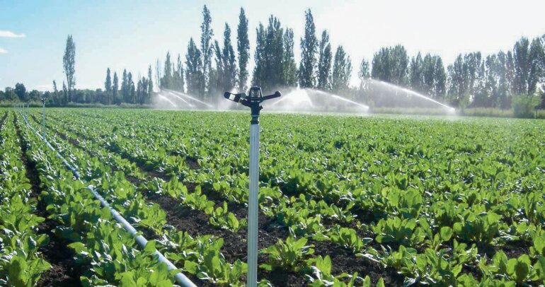 Ziel der Bewässerung ist es, stabile Erträge von regelmässig guter Qualität zu erhalten.