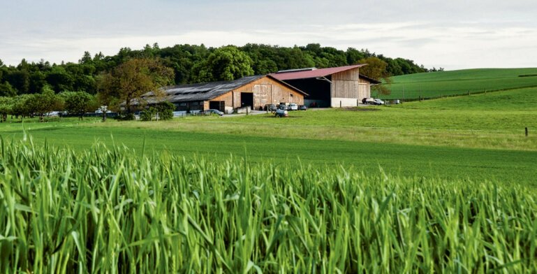 Landwirtschaftsbetrieb in Hochfelden (ZH)