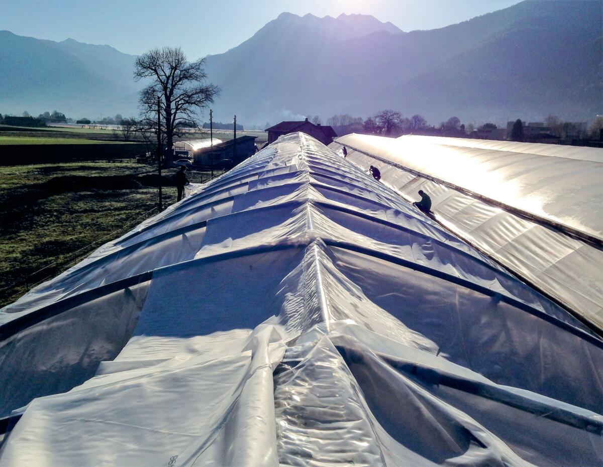 Folien sind flexibel und für alle Gewächshausformenge eignet.