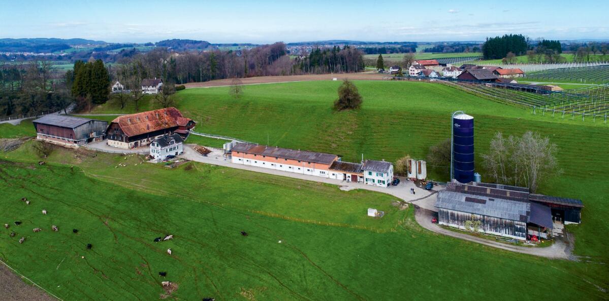 Auf dem Betrieb werden nebst 100 Muttersauen auch 150 Remonten, 250 Mastschweine und 60 Milchkühe gehalten. 