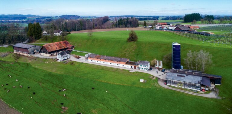 Auf dem Betrieb werden nebst 100 Muttersauen auch 150 Remonten, 250 Mastschweine und 60 Milchkühe gehalten. 