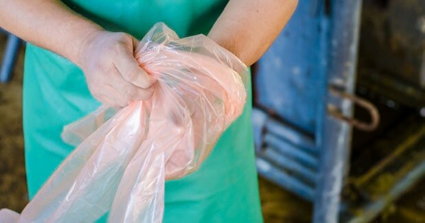 Bei einem Überwurf kann oft nur noch der Tierarzt helfen.