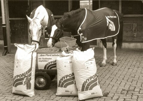 Hypona – dem Pferd zuliebe seit 1985.