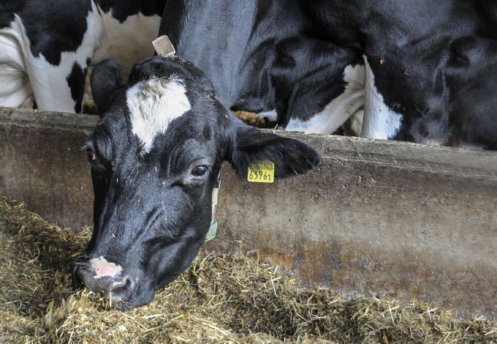 Vorbeugen statt heilen