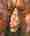 alt_text