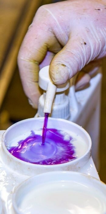 Un tarissement sélectif implique une bonne santé générale des mamelles.