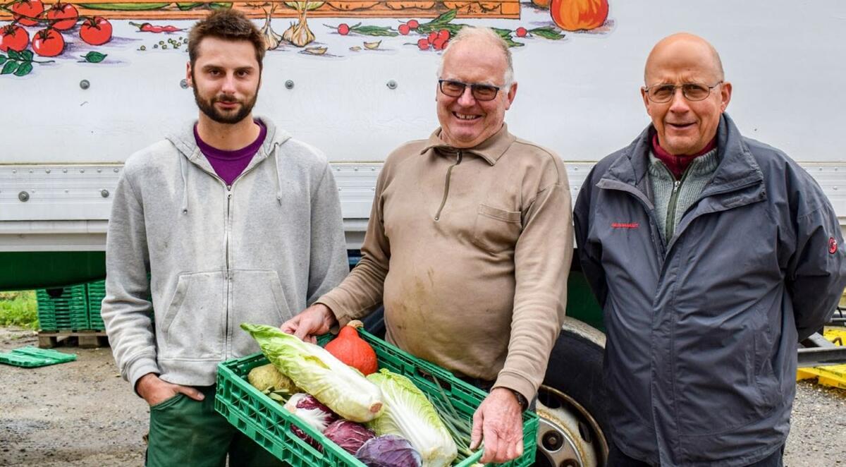 Das Dreierteam betreibt ein erfolgreiches Gemüse-Abo mit über 500 Kunden.