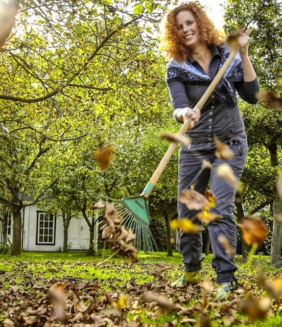  Die Mischung Gras-Laub ist optimal für den Kompost