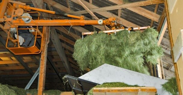 Das vorhandene Grundfutter optimal einsetzen. 