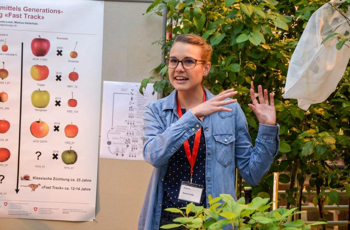 Simone Schütz explique la sélection Fast Track de variétés de pommes résisantes au feu bactérien.