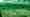 alt_text