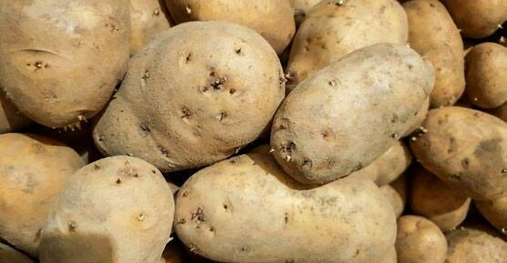 Kartoffeln