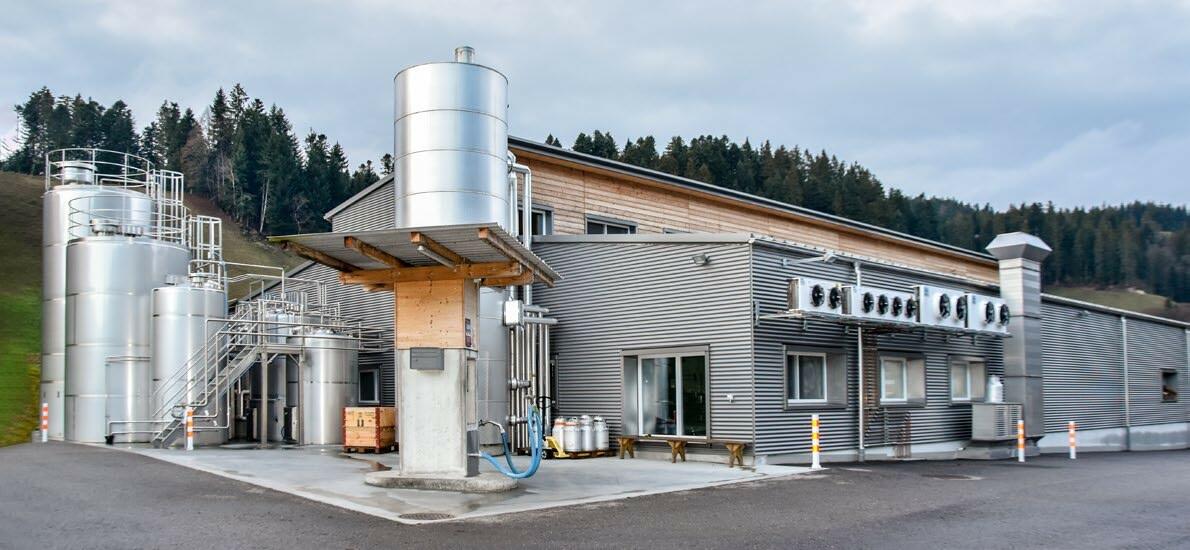 Depuis 2016, la fromagerie transforme également du lait de chèvre et de brebis